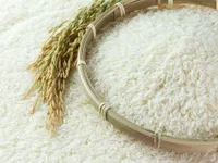 Xuất khẩu lô gạo đầu tiên vào EU theo EVFTA