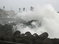 Bão Maysak gây mất điện trên diện rộng, gián đoạn nhiều chuyến bay tại Nhật Bản