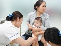Domestic, global focus needed to address public health issues: conference