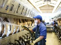 Shares end on mixed note with unclear macro signals