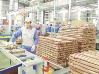 Foreign investment increases in wood processing industry