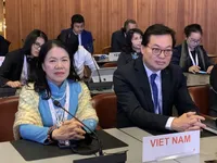 Việt Nam active at 33rd conference of Red Cross & Red Crescent