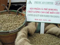 Coffee price crisis hits Vietnamese export value
