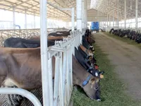 Vinamilk to spend $75m to advance 2019 dividend
