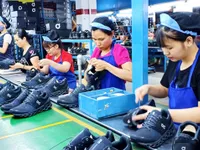 Vĩnh Phúc achieves all 13 socio-economic growth targets for 2019: Vice-standing chairman