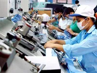 Việt Nam sees positive labour growth in 2019