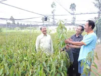 Country’s largest seedling producer focuses on quality