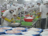 Tiền Giang aims to attract more investment in 2020