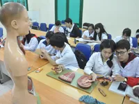 Students are opting for engineering to gain more credits