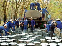 VRG listing plan approved