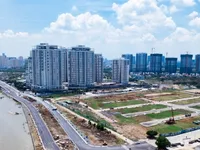 Local property market to recover this year