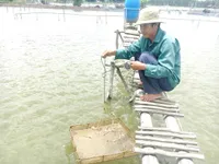 HCM City to provide training in new skills to rural labourers