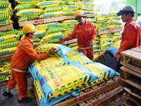 Petrochemical fertiliser firm reports slight drop in 2019 revenue, but profit gains sharply