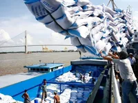 Việt Nam sees rice export growth in January