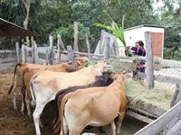 New way of thinking to promote development in mountainous regions