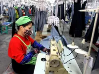 VN acts to improve labour productivity