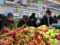 Domestic consumption of farm produce needs to be promoted to offset exports reduction