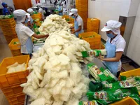 Opportunities to boost consumer goods exports to the US market: seminar