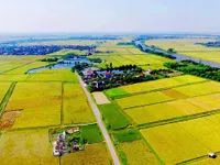 Agricultural land market still an obstacle for enterprises