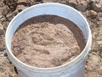 Sóc Trăng farmers reap bumper crop of crustacean eggs