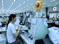 Newly-established firms up but capital down in two months