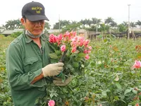 Covid-19 brings losses to flower growers