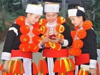 Việt Nam to produce $20 smartphones