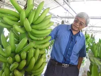 Covid-19 hasn't harmed Vietnamese exporters to Japan and Korea yet