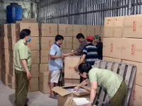 HCM City seizes one million medical masks