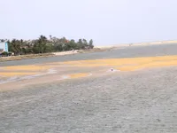 Fishermen flounder with sea gate sand deposits