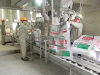 DGC's exports see no big influence from Japan and Korea