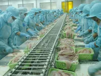 New rules to protect workers