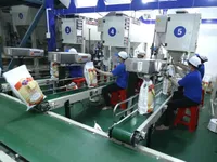 Việt Nam to achieve rice export target this year: insider