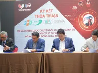 Deals signed to promote wood processing sector’s digital transformation