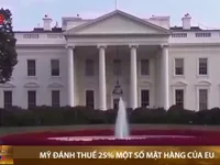 Mỹ đánh thuế 25% đối với một số mặt hàng của EU