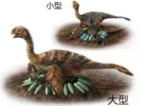 Phát hiện nhiều hóa thạch khủng long quý hiếm có niên đại 70 triệu năm ở Trung Quốc
