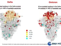 Công bố hình ảnh đầu tiên so sánh giữa hai 'siêu' biến thể Omicron và Delta