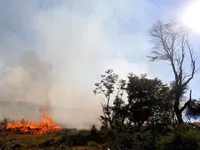 Rơi trực thăng chữa cháy ở Patagonia (Argentina), hai người thiệt mạng