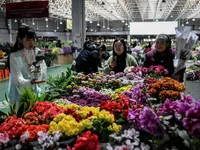 Livestream b&aacute;n h&agrave;ng s&ocirc;i động tại chợ hoa Trung Quốc