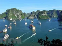 Vietnam to be a popular choice in post-pandemic time: UK news site