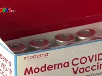 Singapore - quốc gia châu Á đầu tiên cấp phép vaccine của Moderna