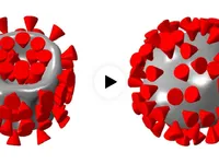 Sóng siêu âm có thể tiêu diệt virus SARS-CoV-2?