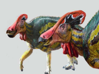 Phát hiện hóa thạch 72 triệu năm của khủng long mỏ vịt có mào dài hơn 1,3 m