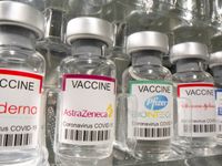 Nhật Bản phê duyệt vaccine COVID-19 của Moderna và AstraZeneca