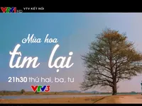 Khám phá sức hút bộ phim Mùa hoa tìm lại trên VTV3