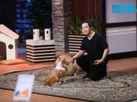 Shark Tank Việt Nam: Kỹ sư phần mềm 10 năm ở Mỹ gọi vốn cho camera theo dõi thú cưng