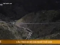 Khánh thành cầu treo đi bộ dài nhất thế giới