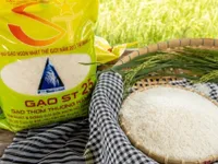 Mỹ bắt đầu nhận khiếu nại nhãn hiệu gạo ST25