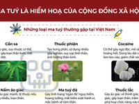 [Infographic] Ma túy - tàn phá sức khỏe, hiểm họa xã hội