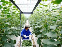 B&ugrave;ng nổ m&ocirc; h&igrave;nh nh&agrave; k&iacute;nh c&ocirc;ng nghệ cao ở Trung Quốc